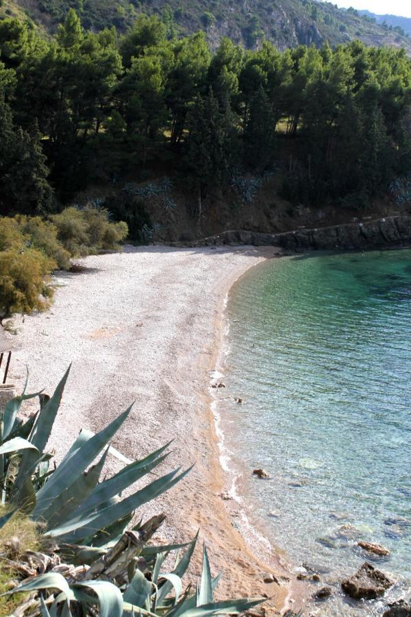 Apartments And Rooms By The Sea Komiza, Vis - 2431 외부 사진